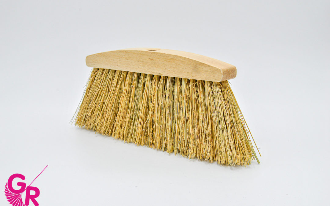 SCOPA SAGGINELLA